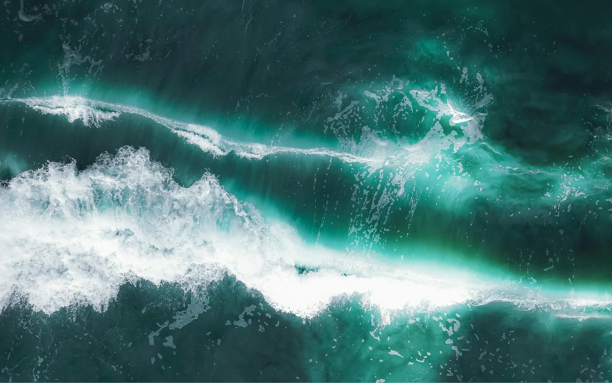 Ocean Conservation Conference